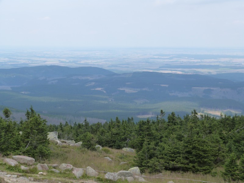 P1050034.jpg