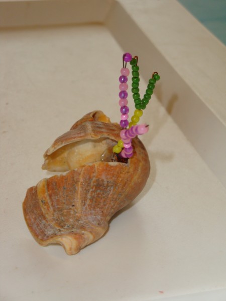DSC07782.jpg