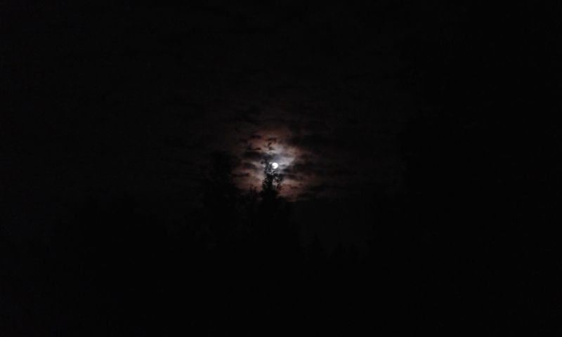20150730_225540.jpg