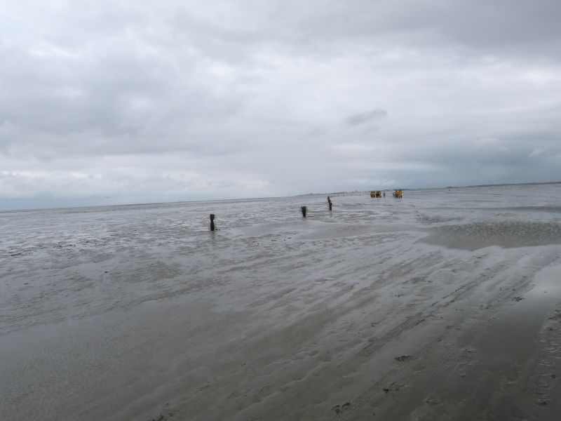 P1110067.jpg