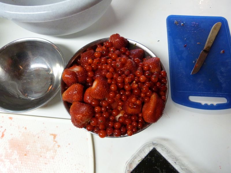 P1100866.jpg