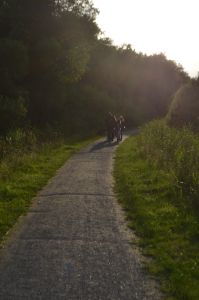 DSC_1350.jpg