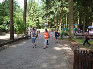 DSC09305.jpg
