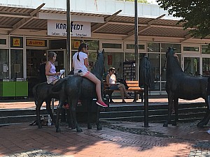 IMG_0993.JPG