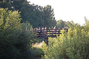 DSC_0214.JPG