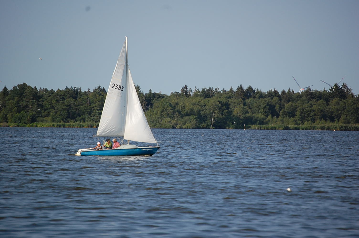 DSC_0608.JPG