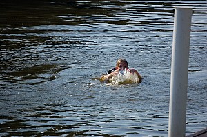 DSC_0307.JPG