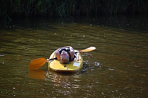 DSC_0351.JPG