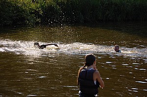 DSC_0446.JPG