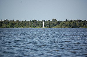 DSC_0606.JPG