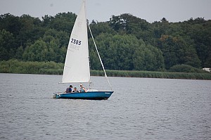 DSC_0709.JPG