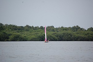 DSC_0724.JPG