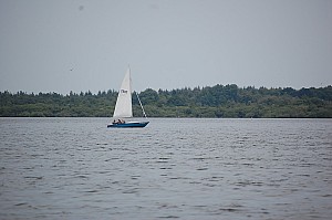 DSC_0726.JPG