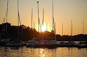 DSC_0981.JPG