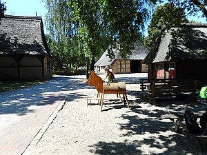 DSCN0656.JPG