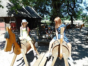 DSCN0658.JPG