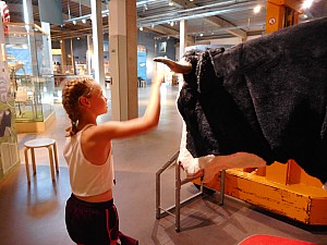 DSCN0669.JPG