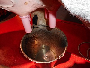 DSCN0671.JPG