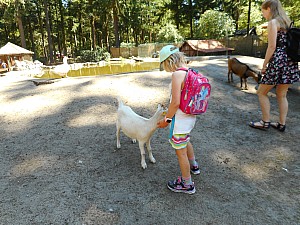DSCN0490.JPG
