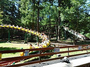 DSCN0499.JPG