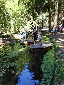DSCN0532.JPG
