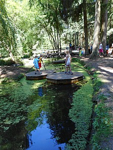 DSCN0533.JPG