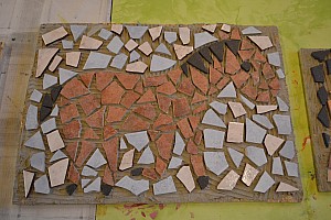 DSC_6339.JPG