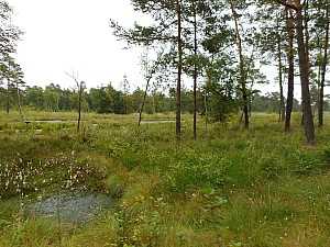 DSCN0056.JPG