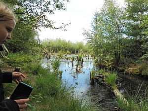 DSCN0065.JPG