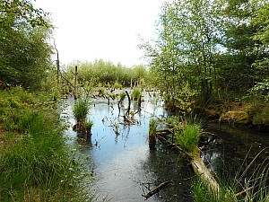DSCN0066.JPG
