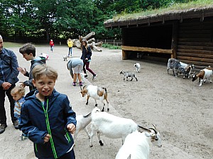 DSCN0199.JPG