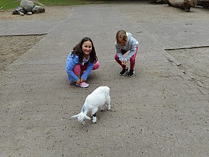 DSCN0203.JPG
