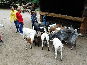 DSCN0206.JPG