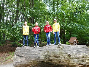DSCN0212.JPG