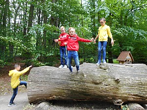 DSCN0213.JPG