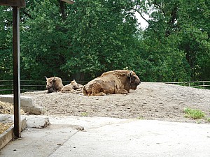 DSCN0224.JPG