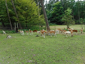 DSCN0255.JPG