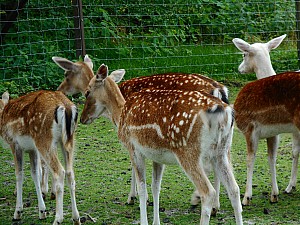 DSCN0256.JPG