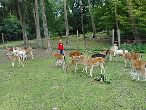 DSCN0268.JPG