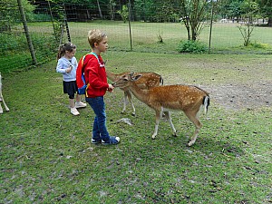 DSCN0288.JPG