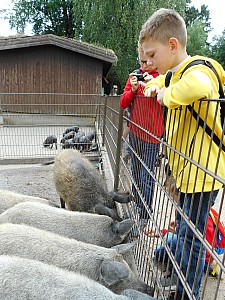 DSCN0293.JPG