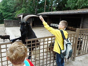 DSCN0299.JPG