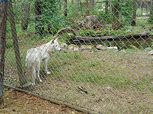 DSCN0312.JPG
