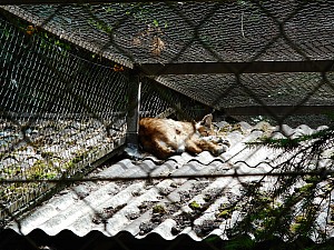 DSCN0332.JPG
