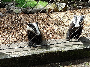 DSCN0335.JPG