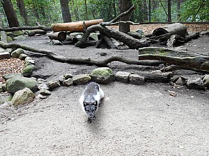 DSCN0344.JPG