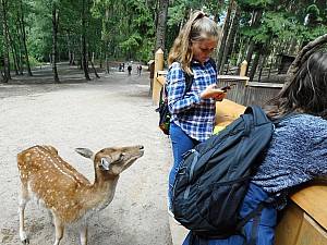 DSCN0359.JPG