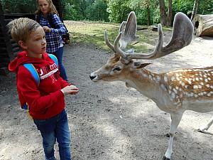 DSCN0367.JPG