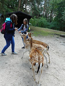 DSCN0371.JPG