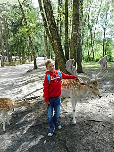 DSCN0380.JPG